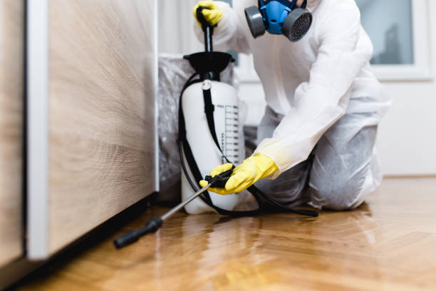Professional Pest Control in Youngwood, PA