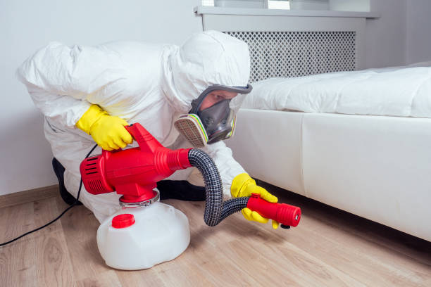 Best Local Pest Control Services  in Youngwood, PA