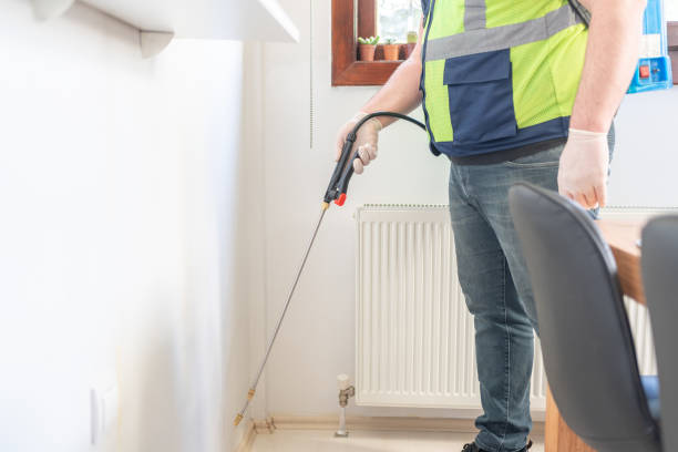 Best Cockroach Control Services  in Youngwood, PA