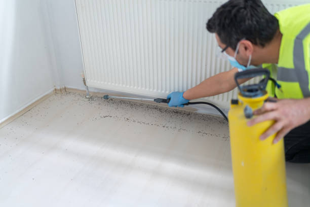 Best Affordable Pest Control Services  in Youngwood, PA